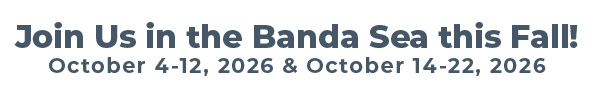 Join Us in the Banda Sea this Fall